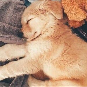 Meet your Posher, Audra